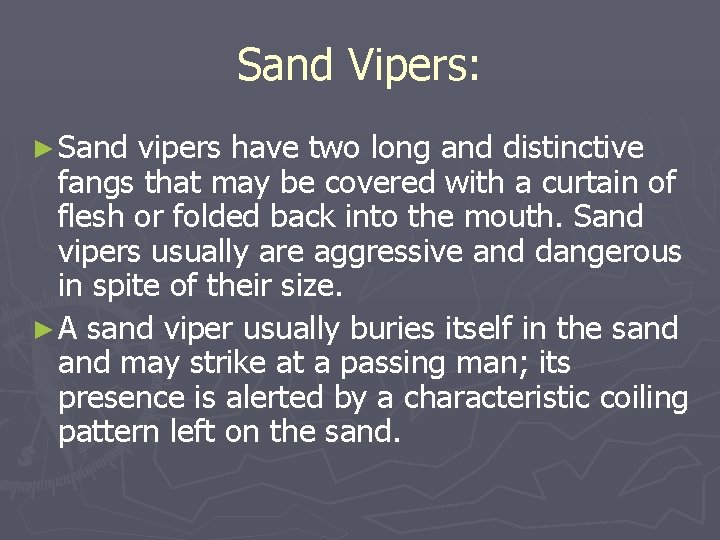 Sand Vipers: ► Sand vipers have two long and distinctive fangs that may be Sand Vipers: ► Sand vipers have two long and distinctive fangs that may be