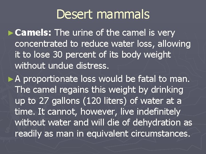 Desert mammals ► Camels: The urine of the camel is very concentrated to reduce Desert mammals ► Camels: The urine of the camel is very concentrated to reduce