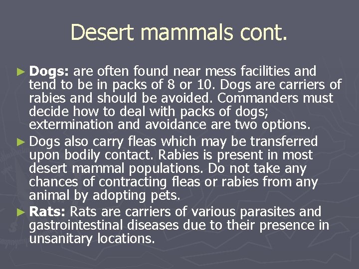 Desert mammals cont. ► Dogs: are often found near mess facilities and tend to Desert mammals cont. ► Dogs: are often found near mess facilities and tend to