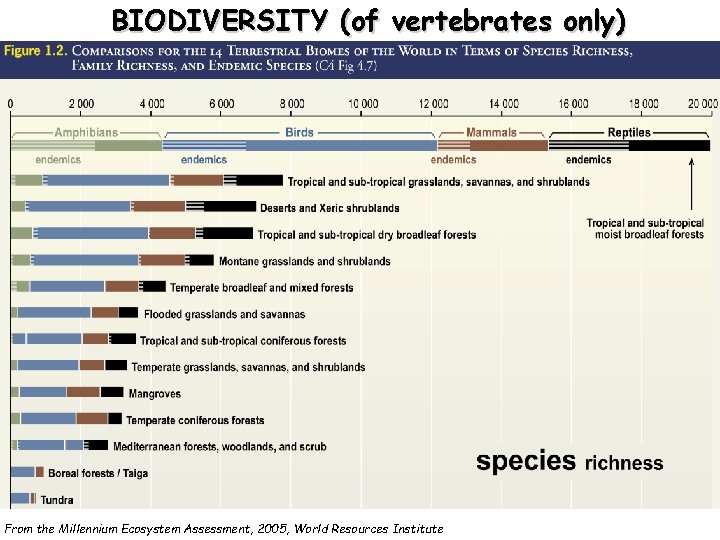 BIODIVERSITY (of vertebrates only) From the Millennium Ecosystem Assessment, 2005, World Resources Institute 