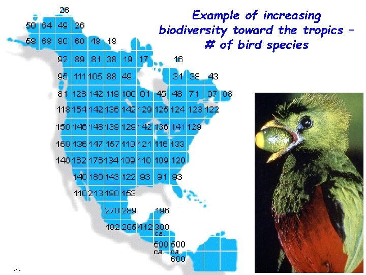 Example of increasing biodiversity toward the tropics – # of bird species 