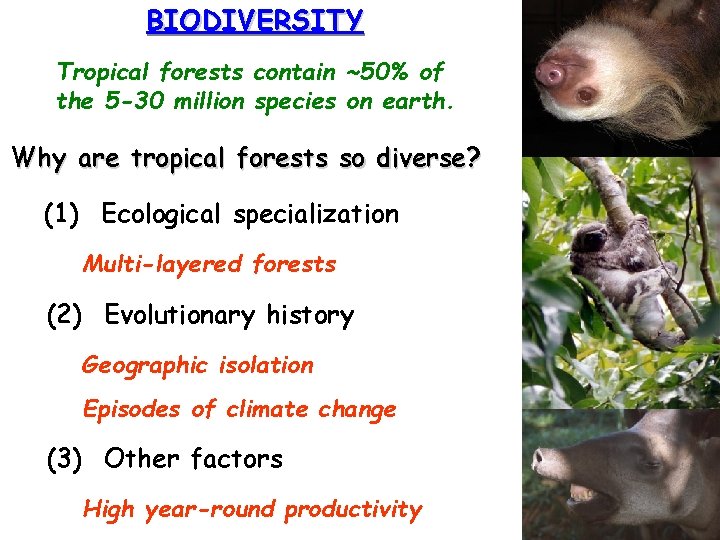 BIODIVERSITY Tropical forests contain ~50% of the 5 -30 million species on earth. Why