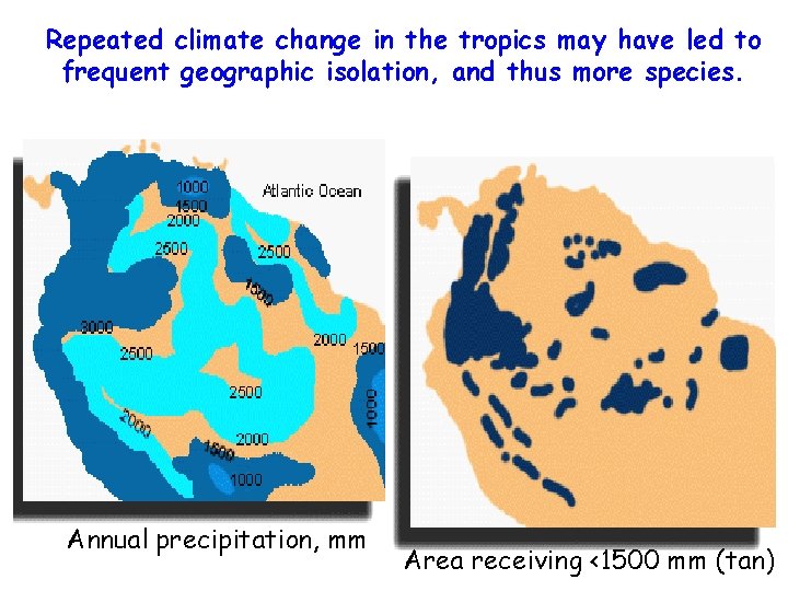 Repeated climate change in the tropics may have led to frequent geographic isolation, and