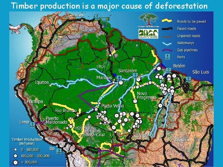 Timber production is a major cause of deforestation 