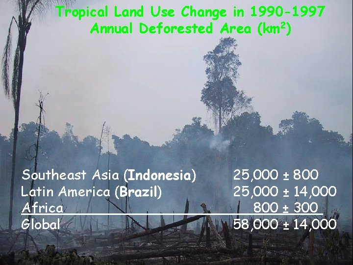 Tropical Land Use Change in 1990 -1997 Annual Deforested Area (km 2) Southeast Asia