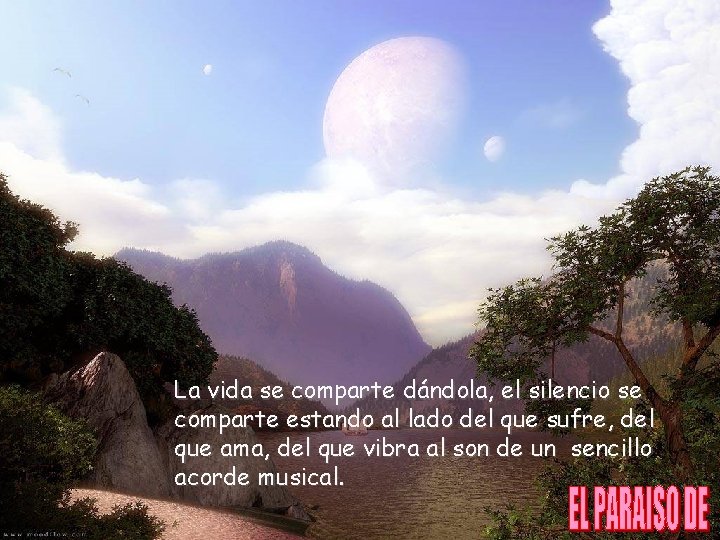 La vida se comparte dándola, el silencio se comparte estando al lado del que