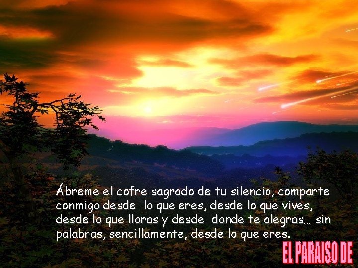 Ábreme el cofre sagrado de tu silencio, comparte conmigo desde lo que eres, desde