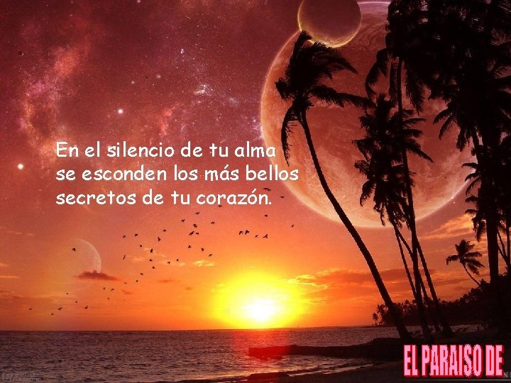 En el silencio de tu alma se esconden los más bellos secretos de tu