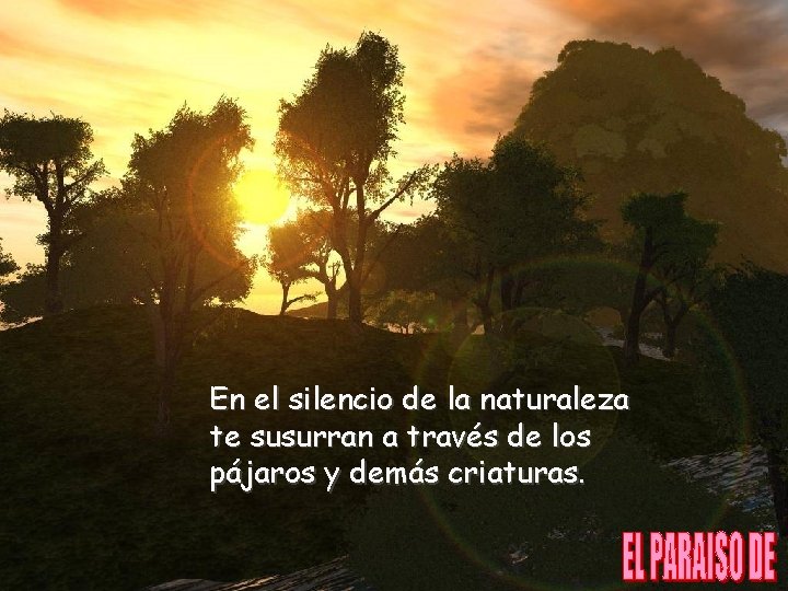En el silencio de la naturaleza te susurran a través de los pájaros y