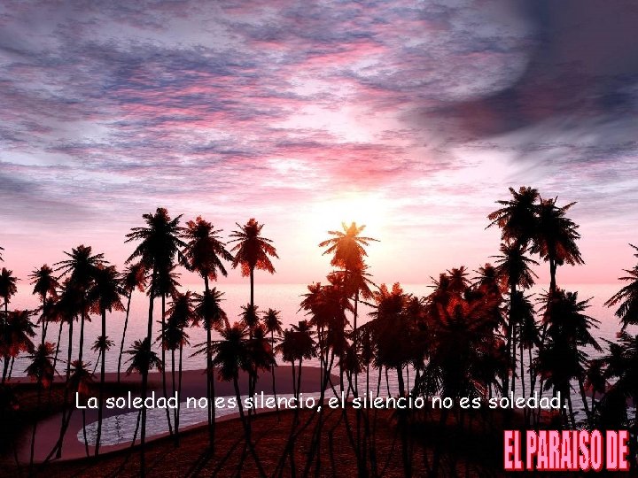 La soledad no es silencio, el silencio no es soledad. 