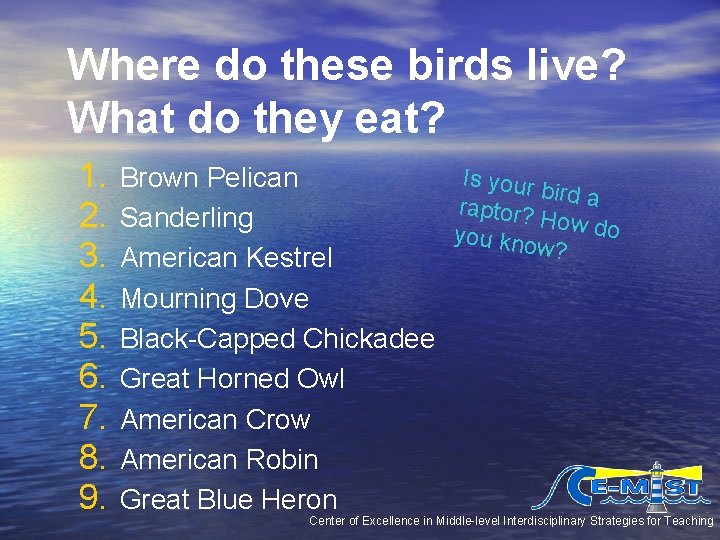 Where do these birds live? What do they eat? 1. 2. 3. 4. 5. Where do these birds live? What do they eat? 1. 2. 3. 4. 5.