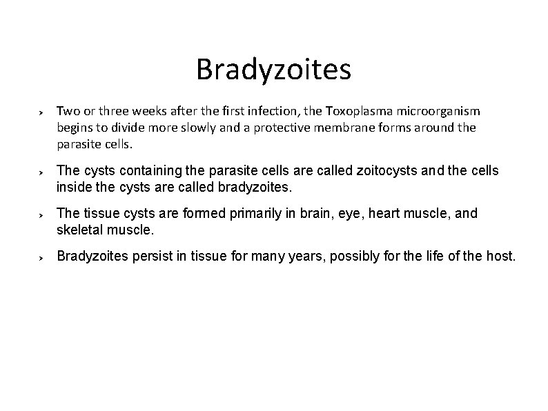 Bradyzoites Ø Ø Two or three weeks after the first infection, the Toxoplasma microorganism