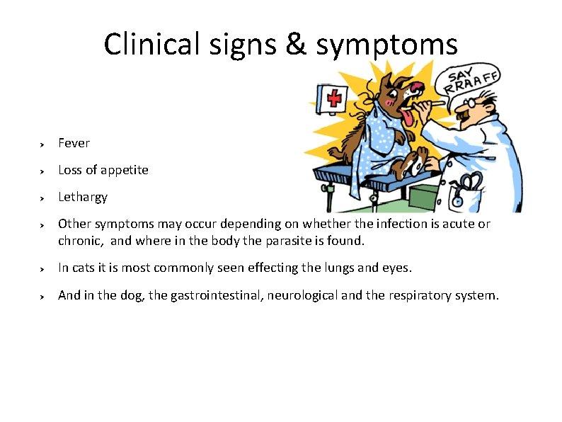 Clinical signs & symptoms Ø Fever Ø Loss of appetite Ø Lethargy Ø Other