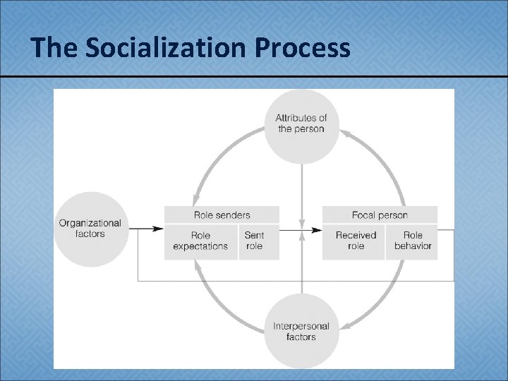 The Socialization Process 