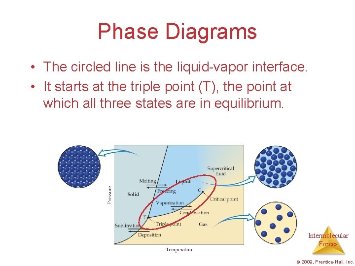 Phase Diagrams • The circled line is the liquid-vapor interface. • It starts at