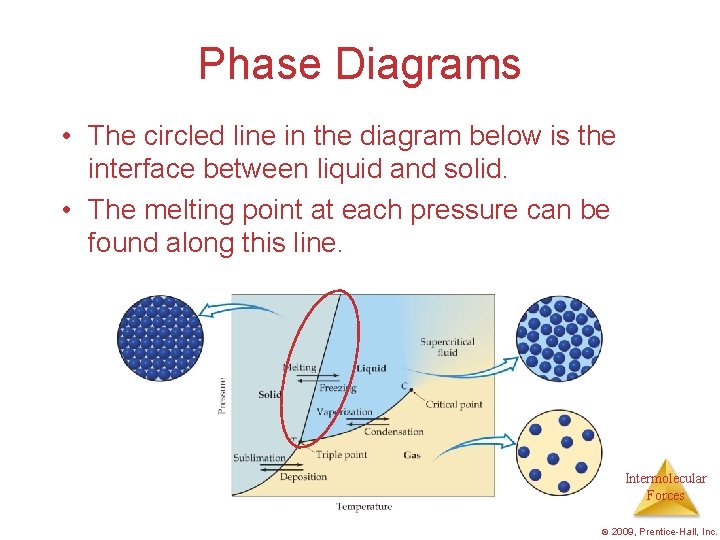 Phase Diagrams • The circled line in the diagram below is the interface between