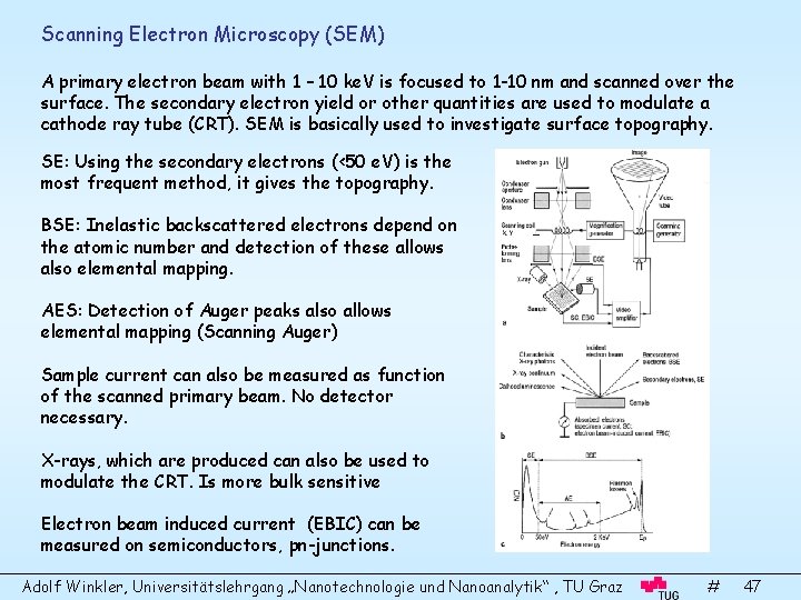 Scanning Electron Microscopy (SEM) A primary electron beam with 1 – 10 ke. V