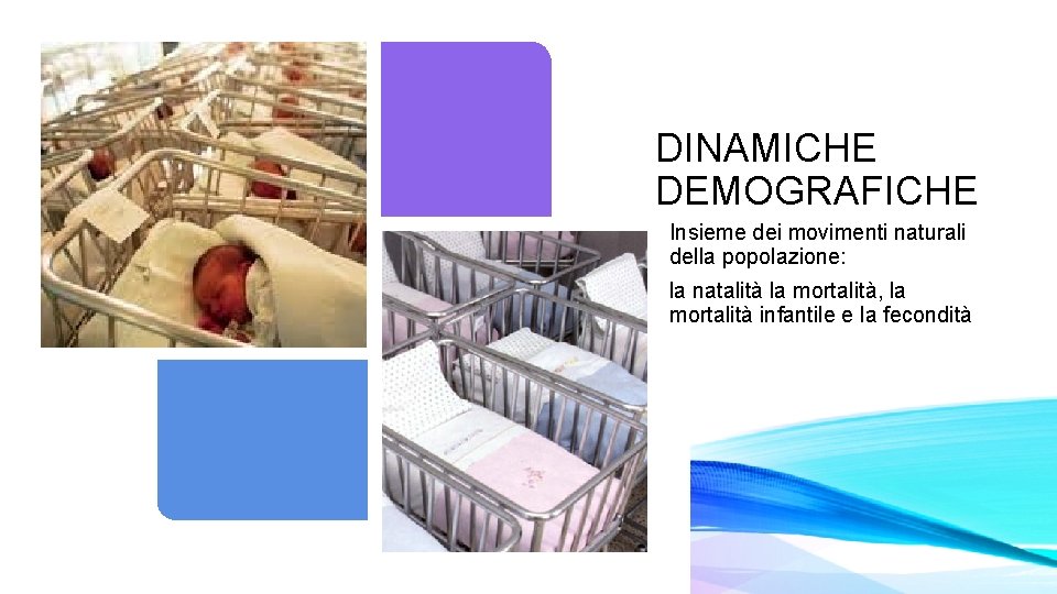 DINAMICHE DEMOGRAFICHE Insieme dei movimenti naturali della popolazione: la natalità la mortalità, la mortalità