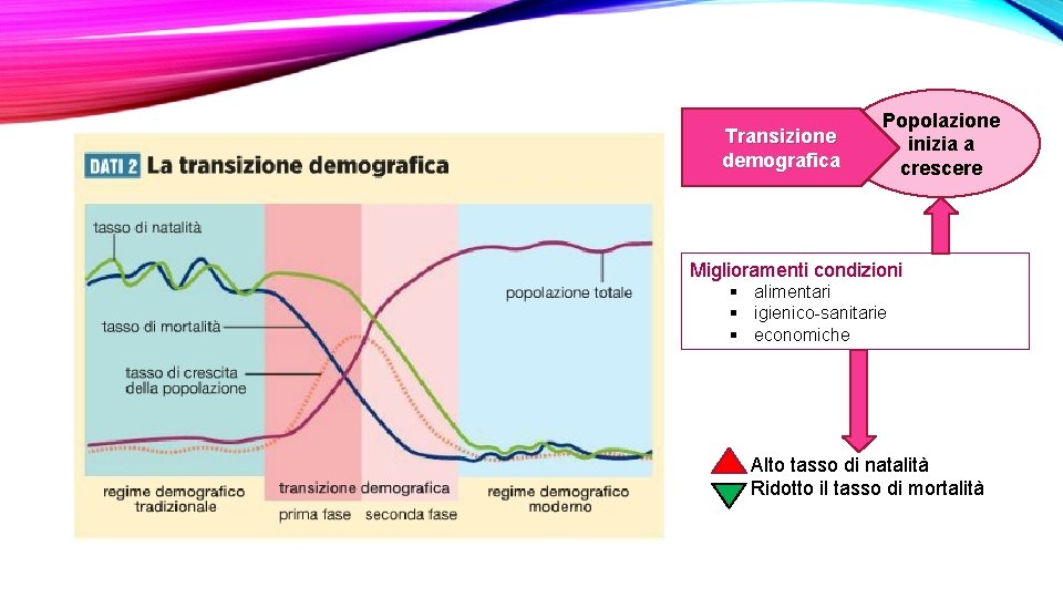 Transizione demografica Popolazione inizia a crescere Miglioramenti condizioni § alimentari § igienico-sanitarie § economiche