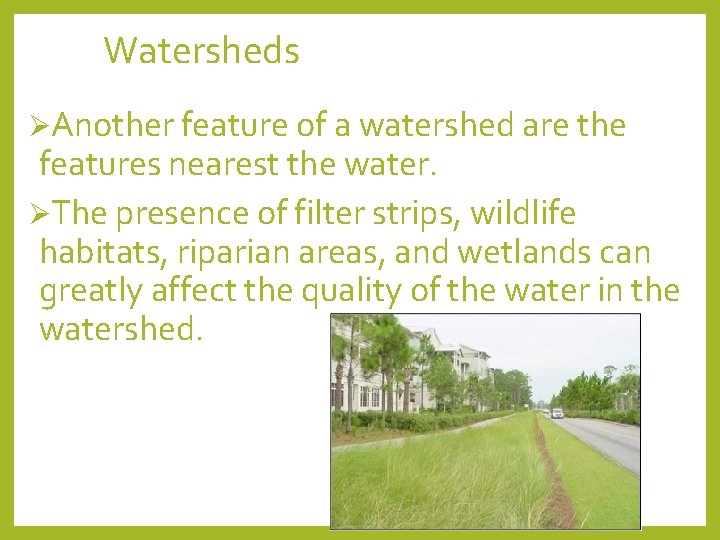 Watersheds ØAnother feature of a watershed are the features nearest the water. ØThe presence