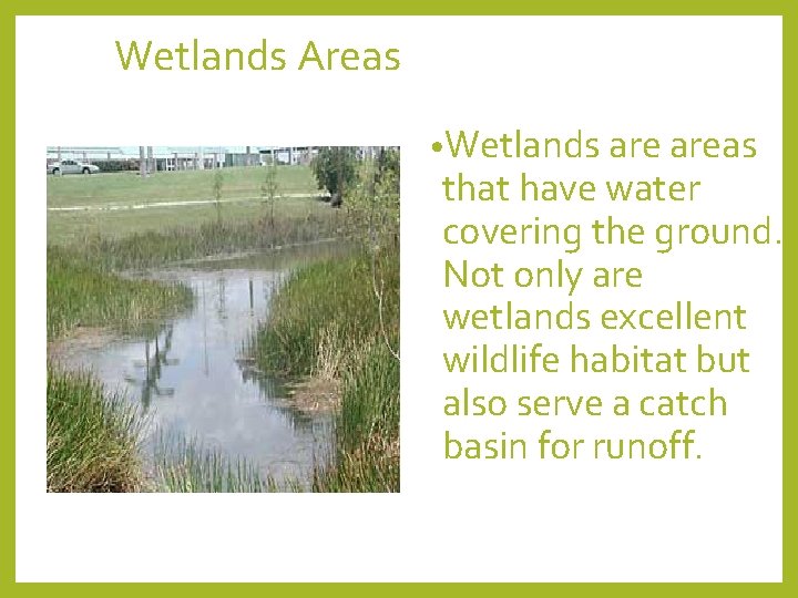 Wetlands Areas • Wetlands areas that have water covering the ground. Not only are