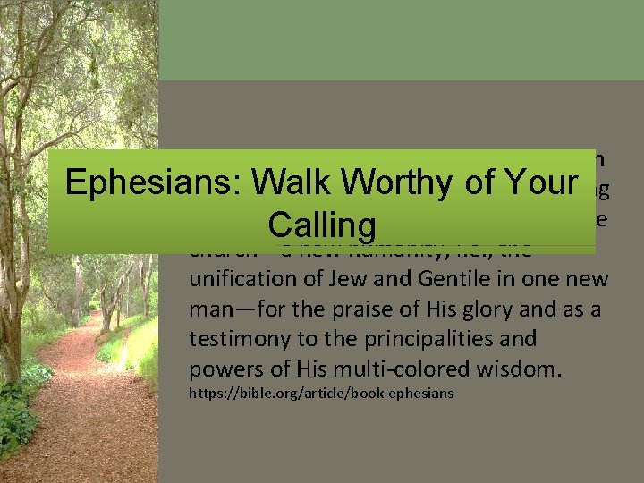 The central organizing theological idea in Ephesians: Walk Worthy of Your Ephesians is that