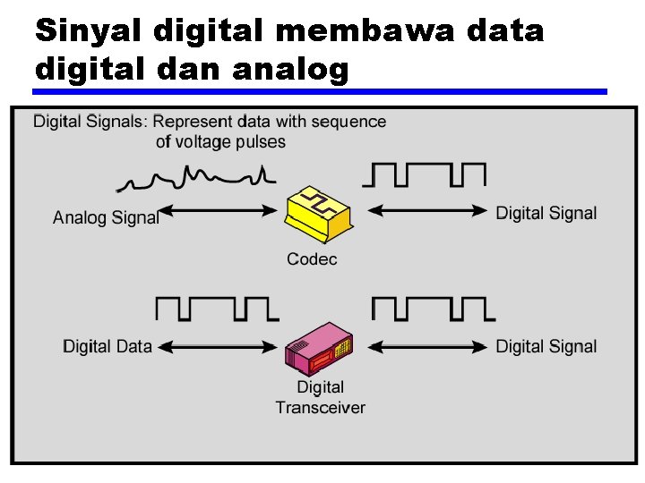 Sinyal digital membawa data digital dan analog 