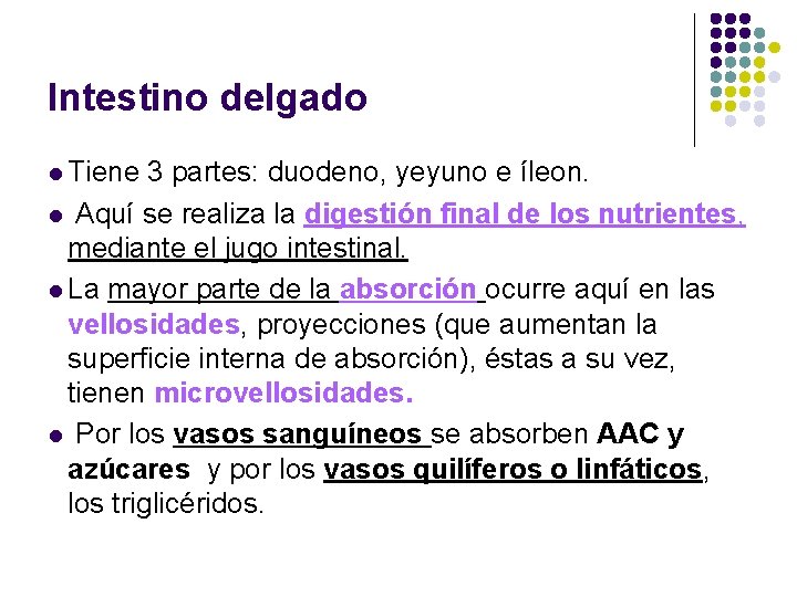 Intestino delgado l Tiene 3 partes: duodeno, yeyuno e íleon. l Aquí se realiza