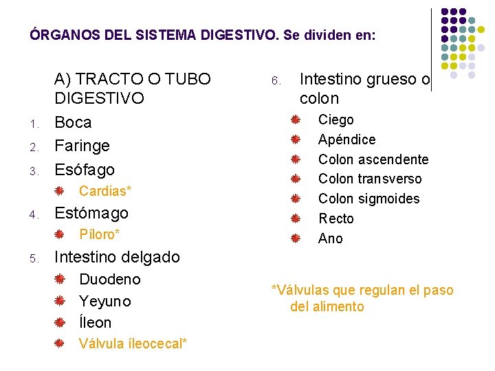 ÓRGANOS DEL SISTEMA DIGESTIVO. Se dividen en: 1. 2. 3. A) TRACTO O TUBO