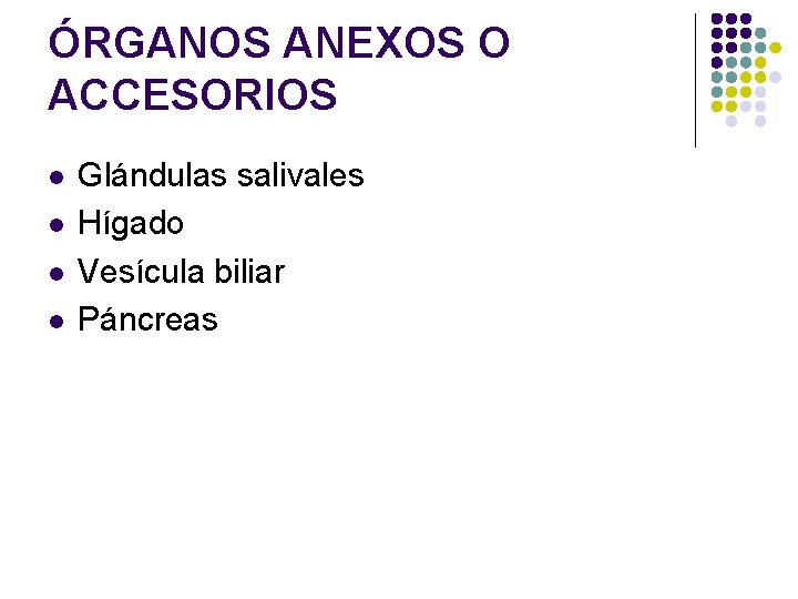 ÓRGANOS ANEXOS O ACCESORIOS l l Glándulas salivales Hígado Vesícula biliar Páncreas 