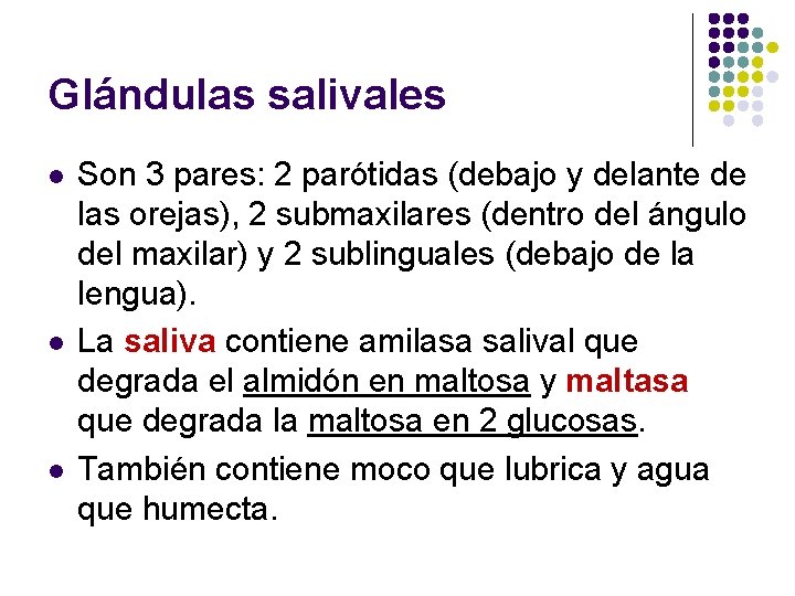Glándulas salivales l l l Son 3 pares: 2 parótidas (debajo y delante de
