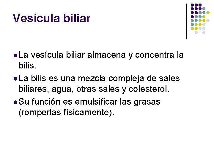 Vesícula biliar l La vesícula biliar almacena y concentra la bilis. l La bilis