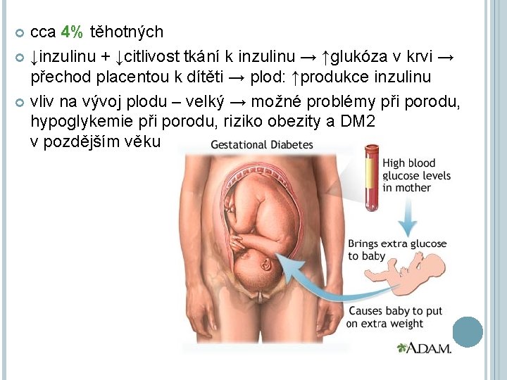 cca 4% těhotných ↓inzulinu + ↓citlivost tkání k inzulinu → ↑glukóza v krvi →