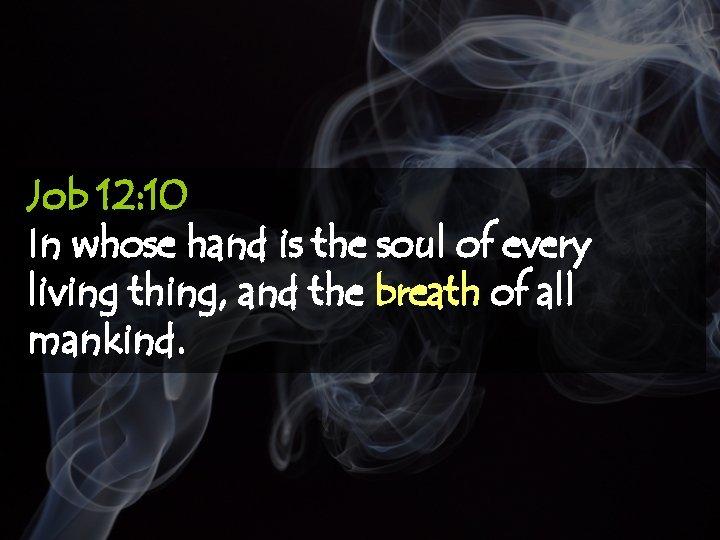 Job 12: 10 In whose hand is the soul of every living thing, and