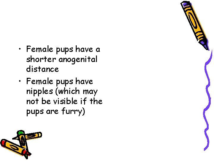  • Female pups have a shorter anogenital distance • Female pups have nipples