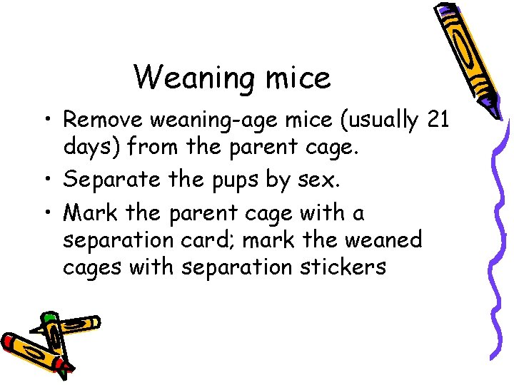 Weaning mice • Remove weaning-age mice (usually 21 days) from the parent cage. •