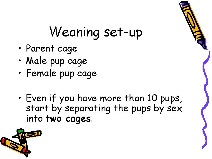 Weaning set-up • Parent cage • Male pup cage • Female pup cage •