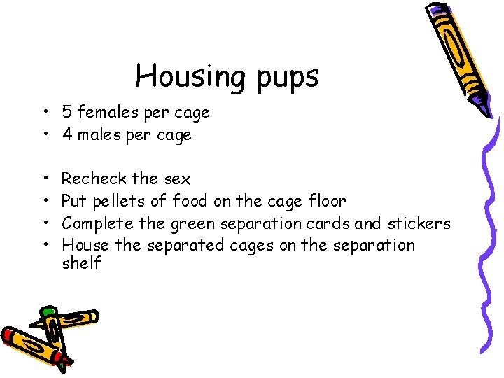 Housing pups • 5 females per cage • 4 males per cage • •