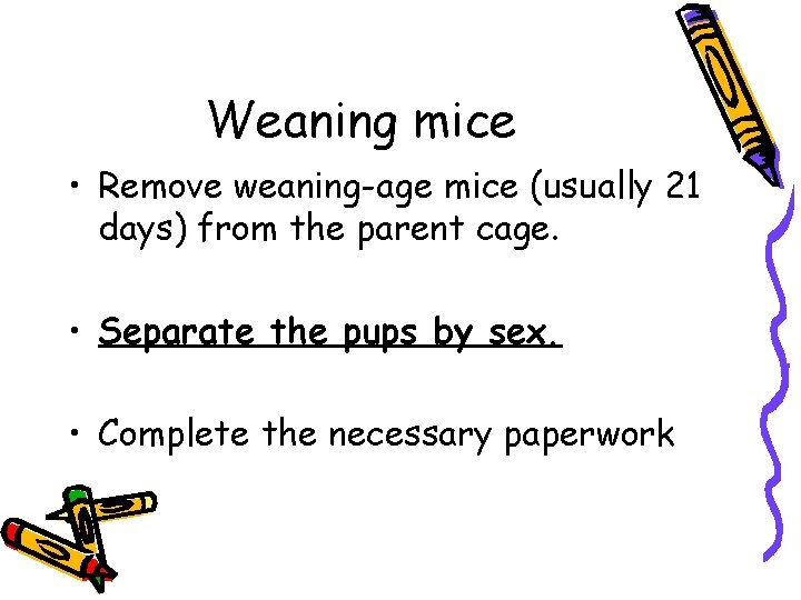 Weaning mice • Remove weaning-age mice (usually 21 days) from the parent cage. •