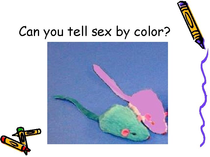 Can you tell sex by color? 