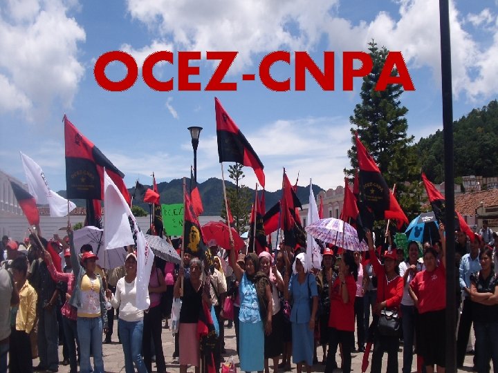OCEZ-CNPA 