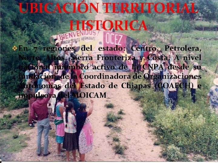 UBICACIÓN TERRITORIAL HISTORICA v En 7 regiones del estado: Centro, Petrolera, Norte, Altos, Sierra