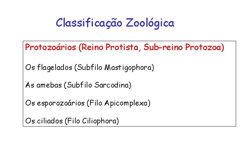 Classificação Zoológica Protozoários (Reino Protista, Sub-reino Protozoa) Os flagelados (Subfilo Mastigophora) As amebas (Subfilo
