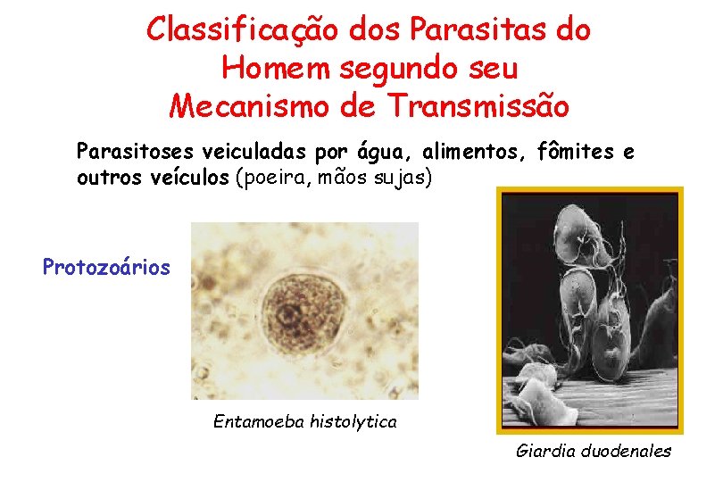 Classificação dos Parasitas do Homem segundo seu Mecanismo de Transmissão Parasitoses veiculadas por água,