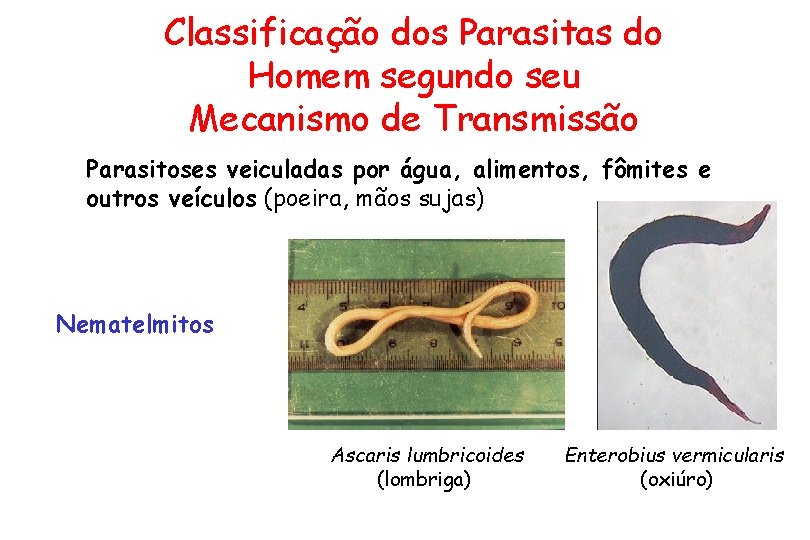 Classificação dos Parasitas do Homem segundo seu Mecanismo de Transmissão Parasitoses veiculadas por água,