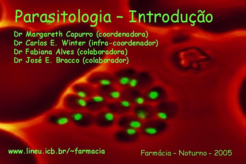 Parasitologia – Introdução Dr Dr Margareth Capurro (coordenadora) Carlos E. Winter (infra-coordenador) Fabiana Alves