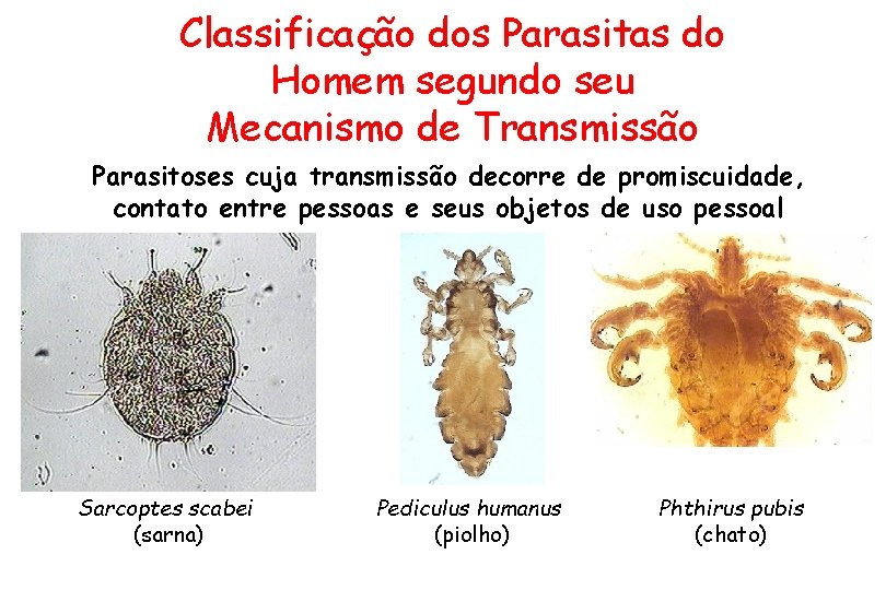 Classificação dos Parasitas do Homem segundo seu Mecanismo de Transmissão Parasitoses cuja transmissão decorre