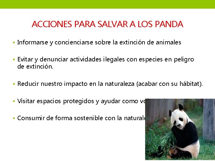 ACCIONES PARA SALVAR A LOS PANDA § Informarse y concienciarse sobre la extinción de