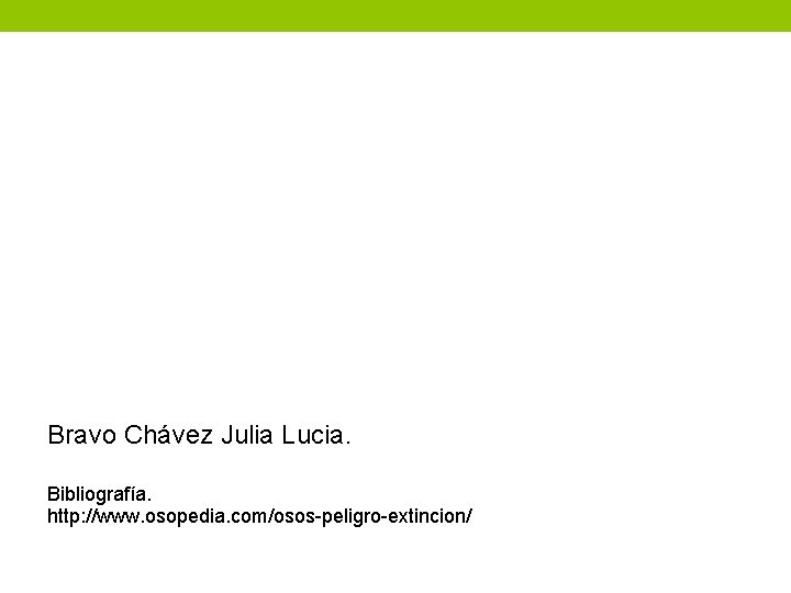Bravo Chávez Julia Lucia. Bibliografía. http: //www. osopedia. com/osos-peligro-extincion/ 