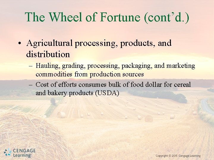 The Wheel of Fortune (cont’d. ) • Agricultural processing, products, and distribution – Hauling,